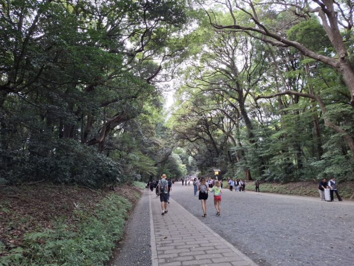 01-101_20251018_153808