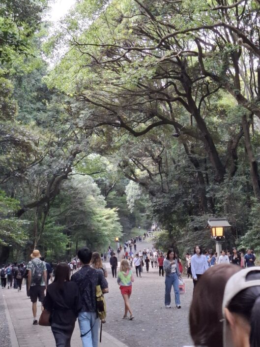 01-102_20251018_153817