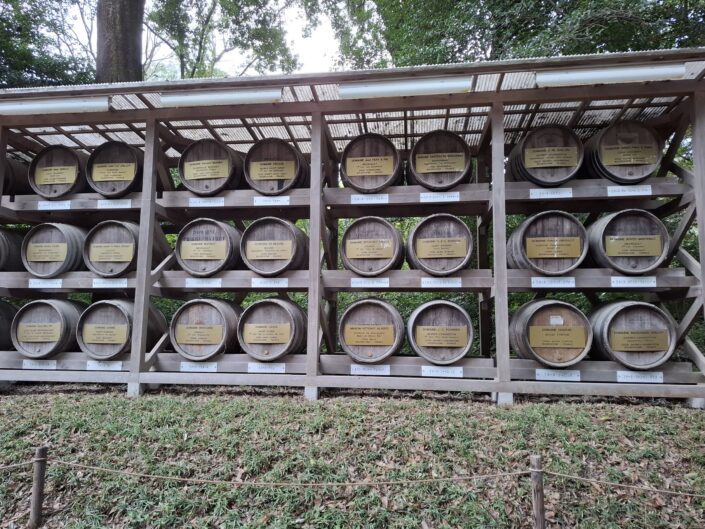 01-111_20251018_162253