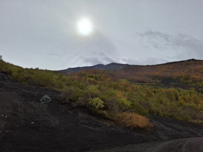 02-107_20251021_123252