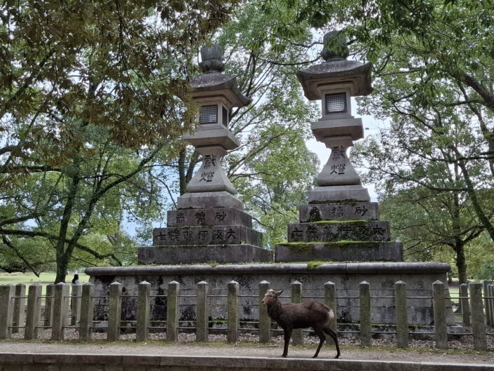 04-01-200_20251025_122346