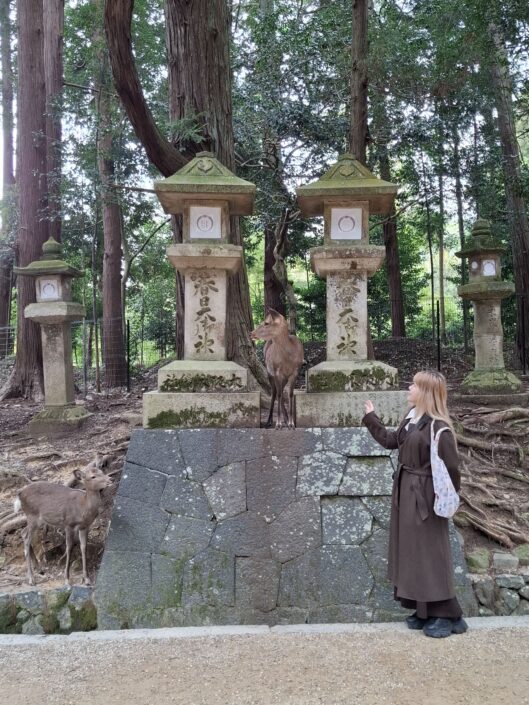 04-01-210_20251025_123537