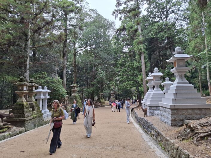 04-01-220_20251025_123727