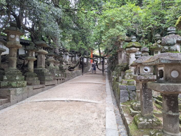 04-01-230_20251025_124312