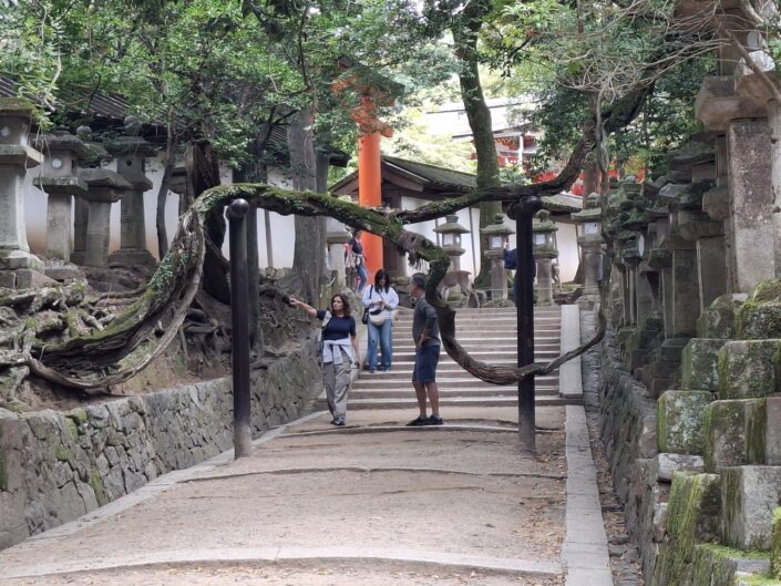 04-01-240_20251025_124315