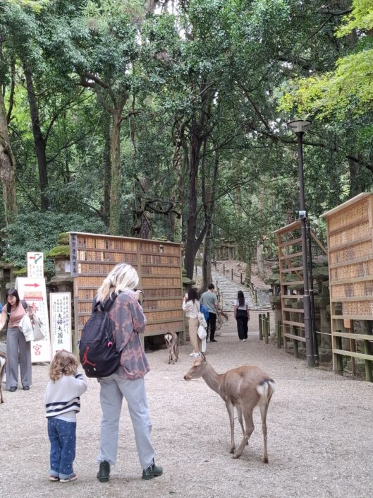 04-01-250_20251025_124622