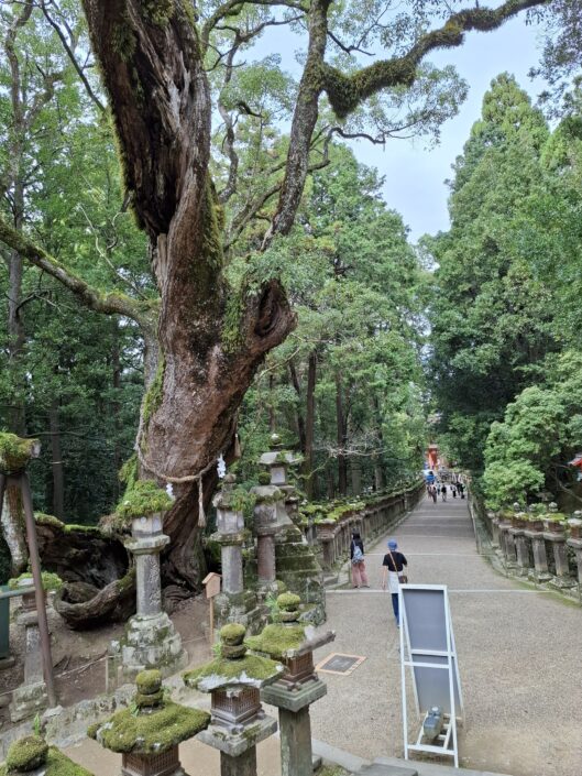 04-01-260_20251025_131305