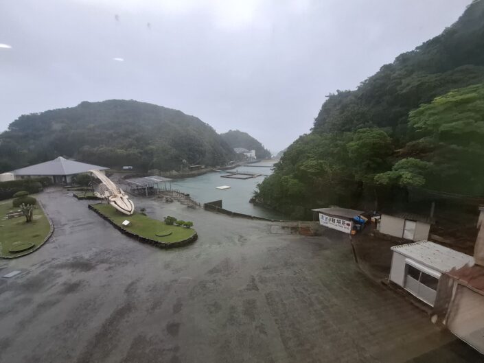 08-100_20251031_113739