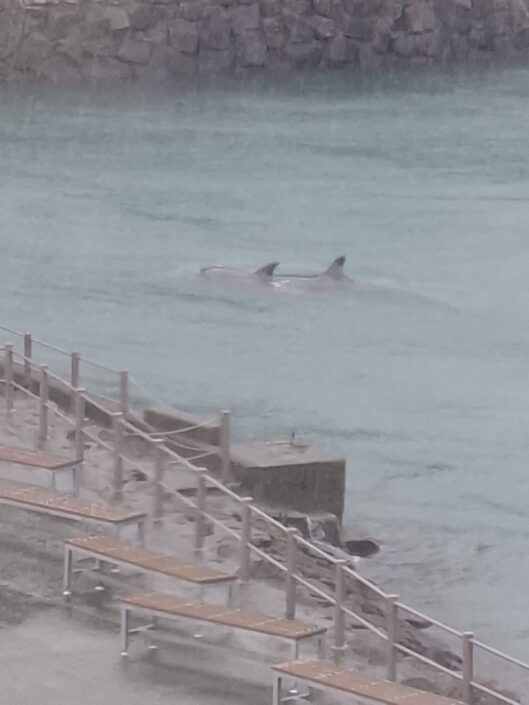 08-130_20251031_113902