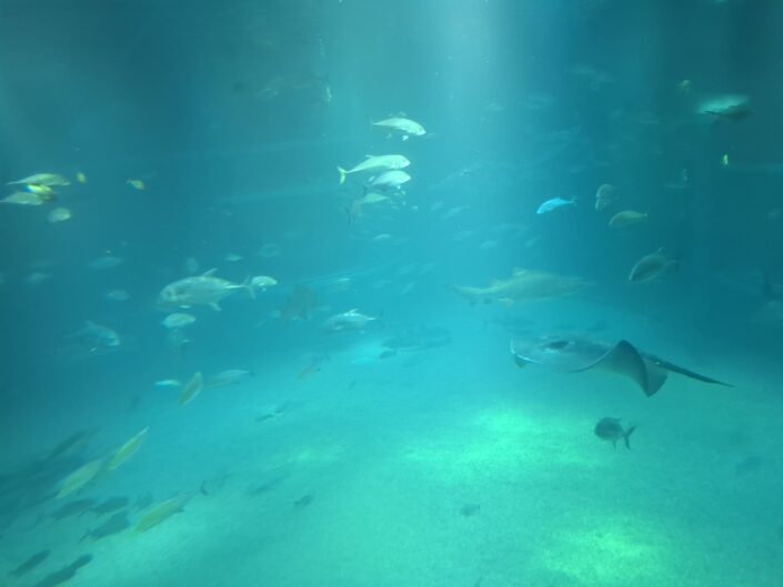 10-02-010_20251103_125540