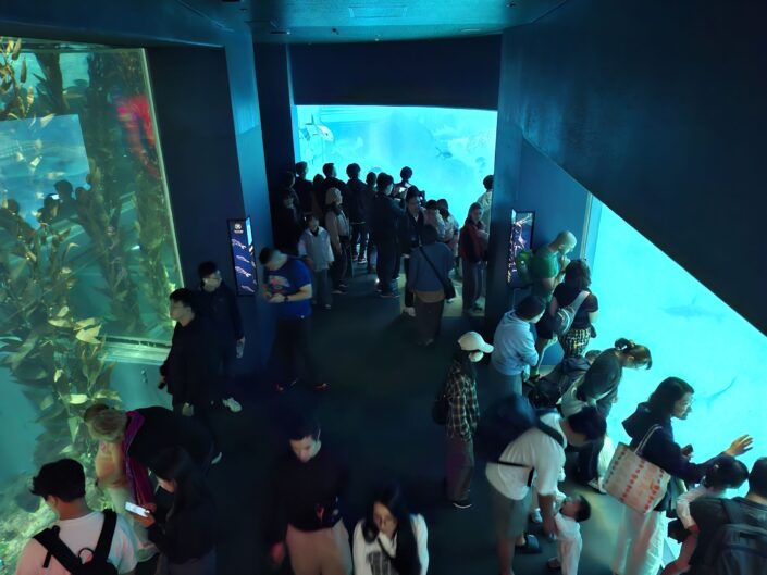 10-02-020_20251103_125647