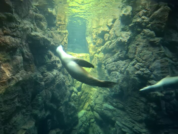 10-02-030_20251103_125747