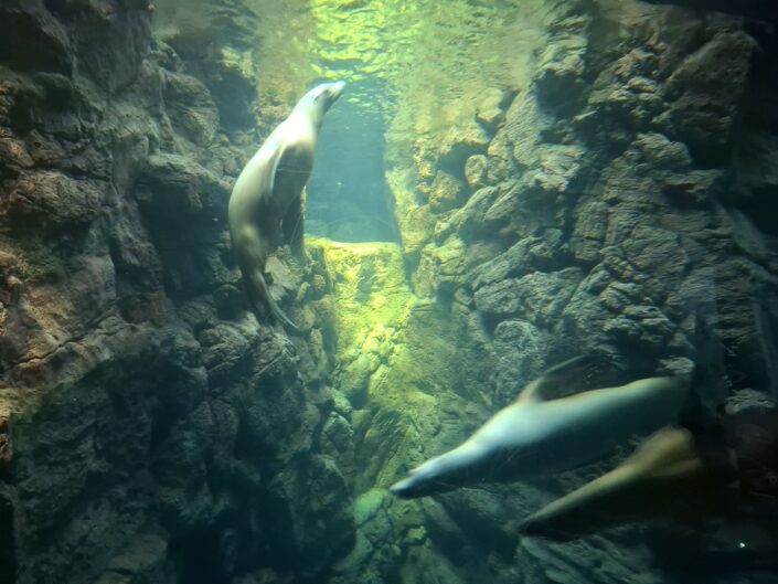 10-02-040_20251103_125748