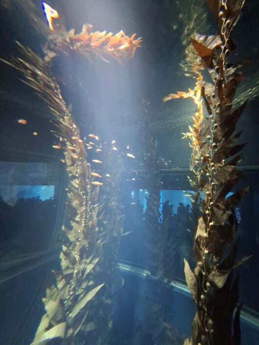 10-02-050_20251103_125825