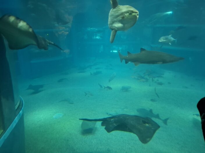 10-02-060_20251103_130215