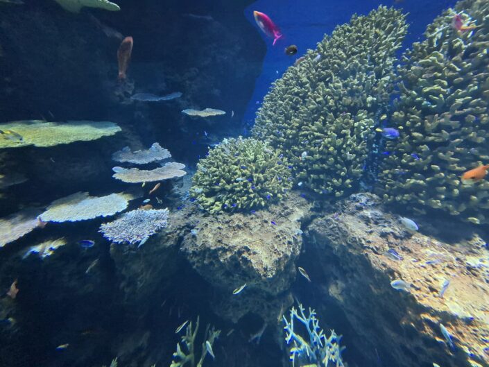 10-02-090_20251103_131541