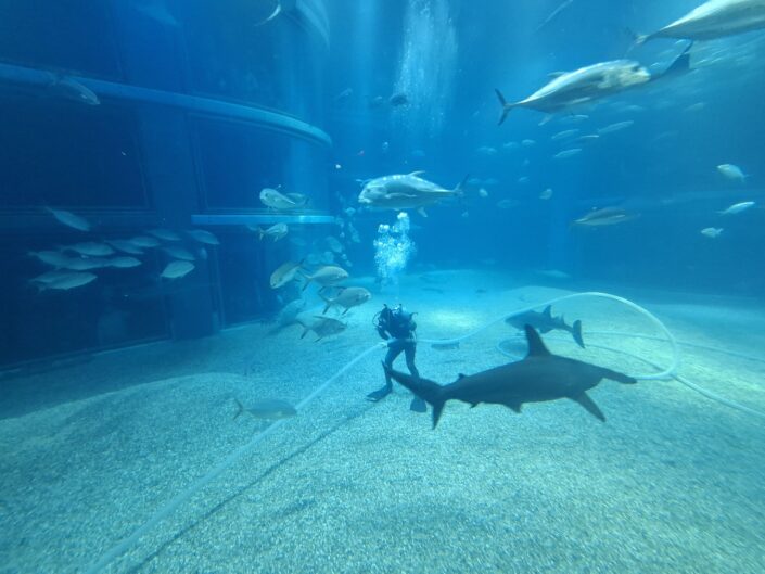 10-02-100_20251103_131849