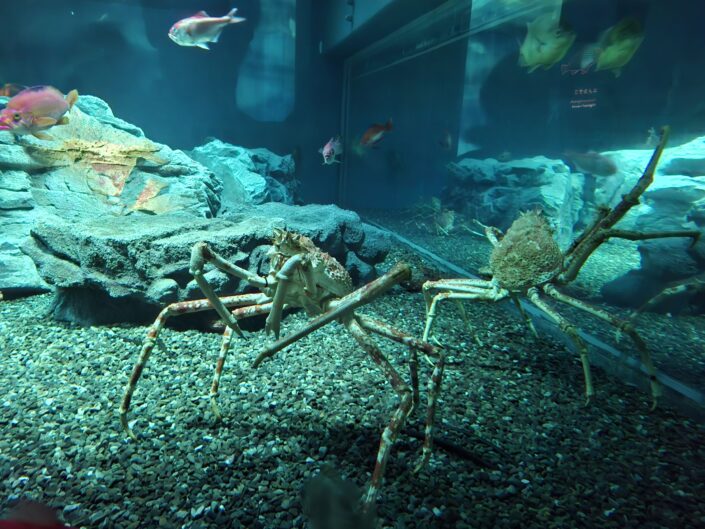 10-02-120_20251103_132233