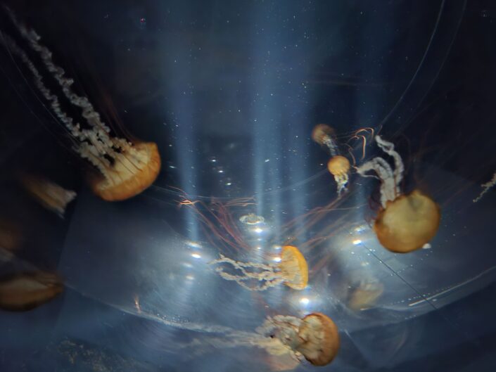 10-02-140_20251103_133051