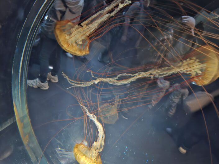 10-02-150_20251103_133129