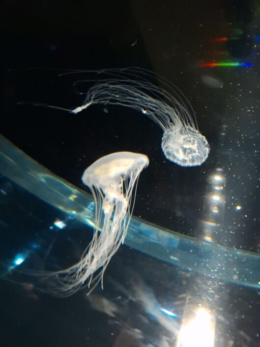 10-02-160_20251103_133241